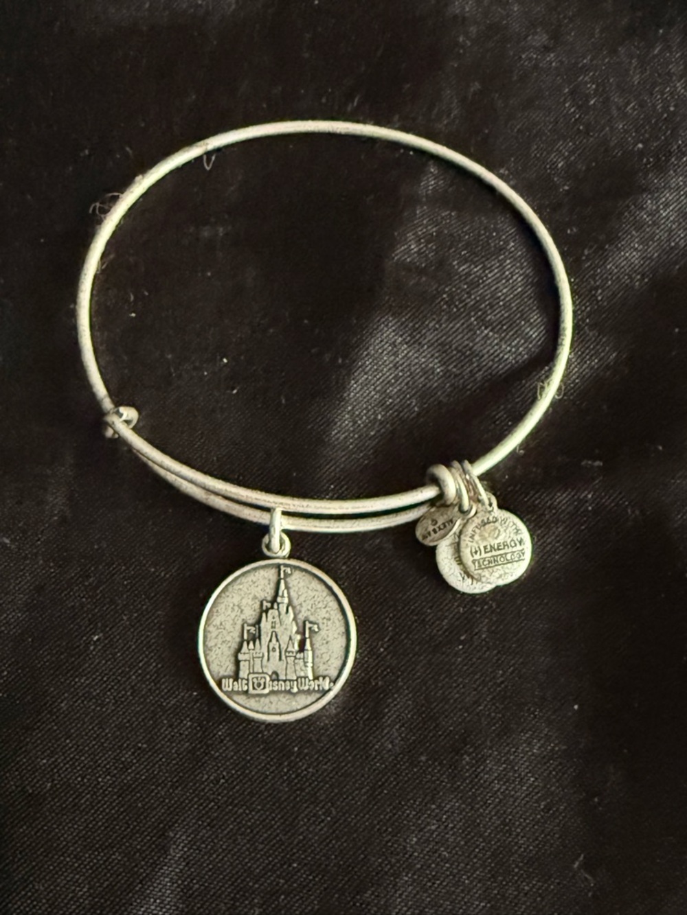 Walt Disney World Alex and Ani